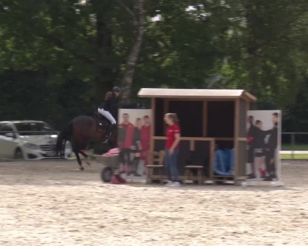 Reitturnier Rot am See Musdorf 2024