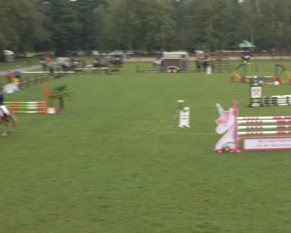 Reitturnier Gallinchen 2024