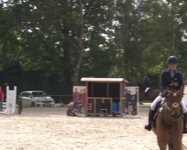 Reitturnier Rot am See Musdorf 2024