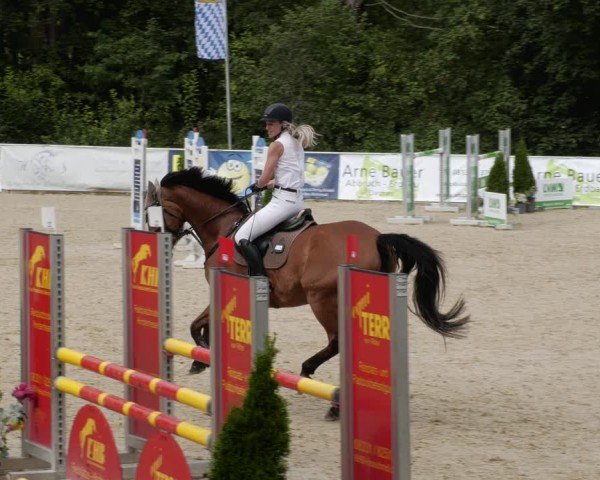 Reitturnier Karlsfeld/Obb. 2024