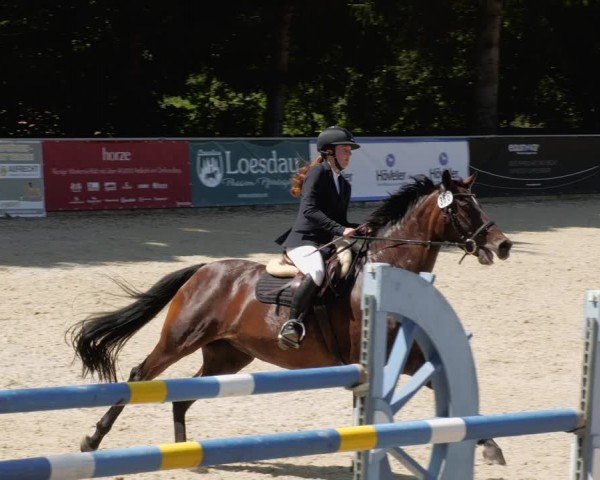 Reitturnier Karlsfeld/Obb. 2024