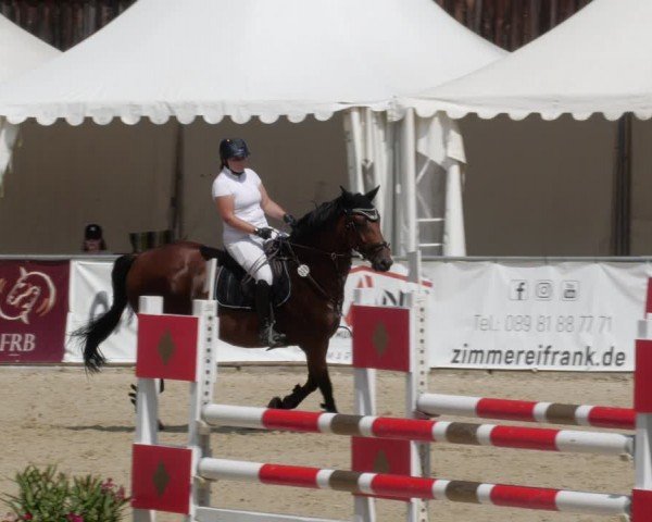 Reitturnier Karlsfeld/Obb. 2024