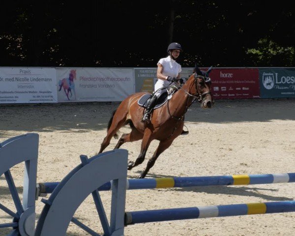 Reitturnier Karlsfeld/Obb. 2024