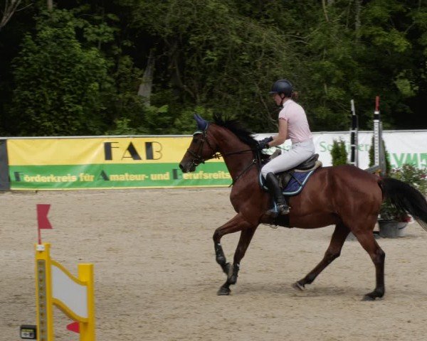 Reitturnier Karlsfeld/Obb. 2024