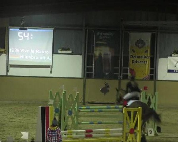 Ravensberger Pferdetage 2013