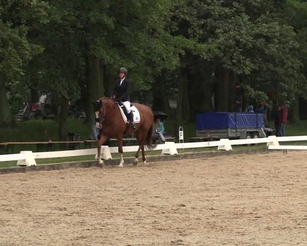 Reitturnier Gallinchen 2024