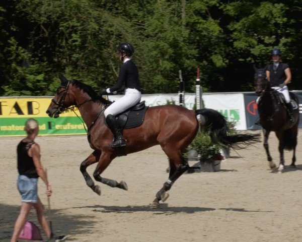 Reitturnier Karlsfeld/Obb. 2024