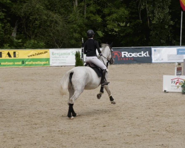 Reitturnier Karlsfeld/Obb. 2024