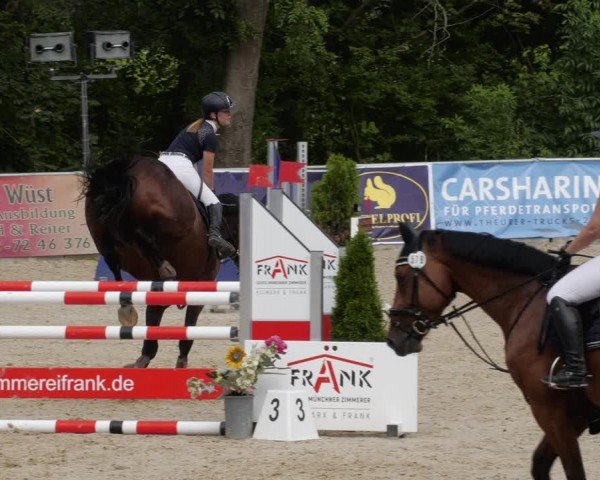 Reitturnier Karlsfeld/Obb. 2024