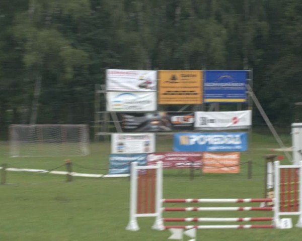 Reitturnier Gallinchen 2024