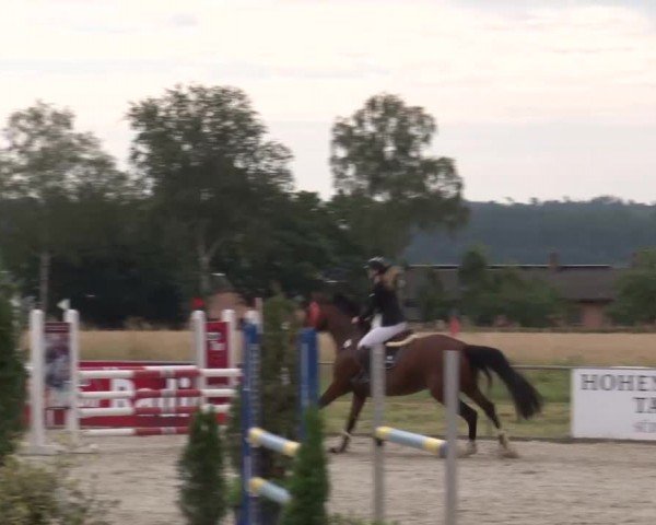 Reitturnier Rot am See Musdorf 2024
