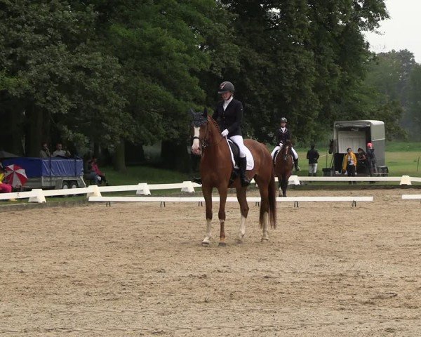 Reitturnier Gallinchen 2024