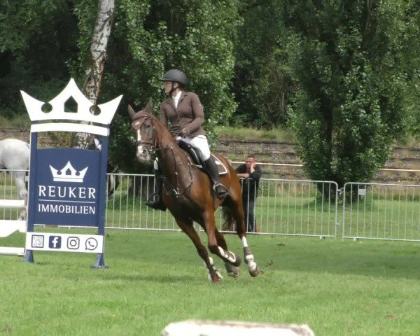 Reitturnier Hannover/Reiterstadion 2024