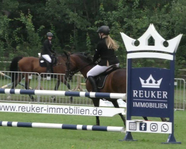 Reitturnier Hannover/Reiterstadion 2024