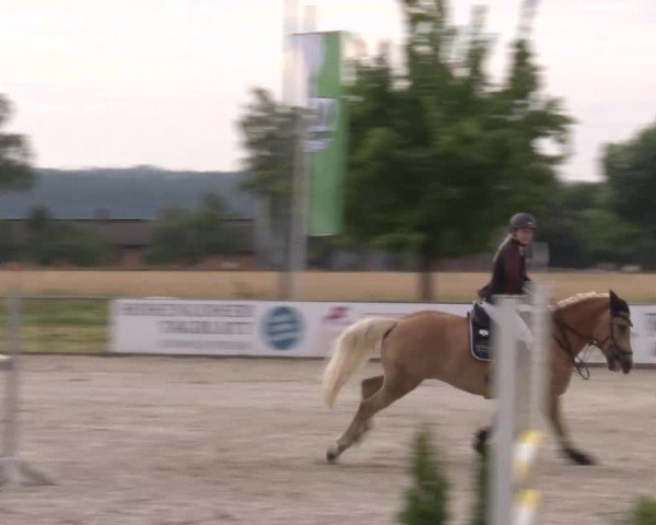 Reitturnier Rot am See Musdorf 2024
