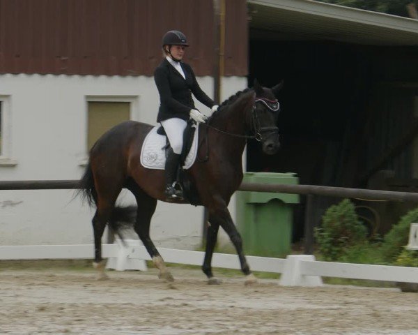 Reitturnier Marienheide-Kempershöhe 2024