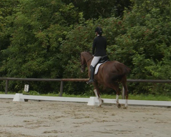 Reitturnier Marienheide-Kempershöhe 2024