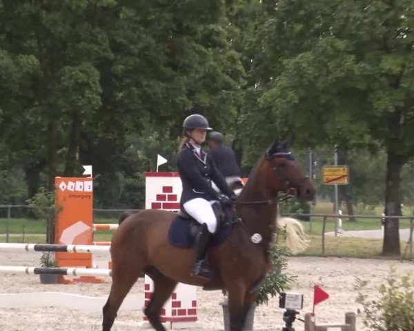 Reitturnier Rot am See Musdorf 2024
