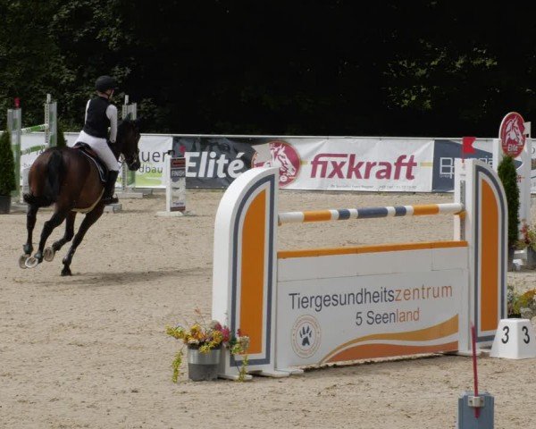 Reitturnier Karlsfeld/Obb. 2024