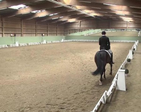 7.Dressurfestival in Zeutern auf dem Martinushof