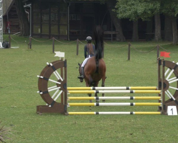 Reitturnier Gallinchen 2024