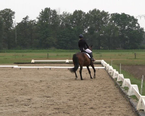 Reitturnier Gallinchen 2024