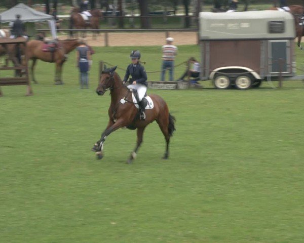 Reitturnier Gallinchen 2024