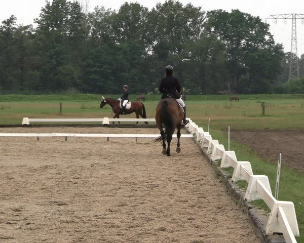 Reitturnier Gallinchen 2024