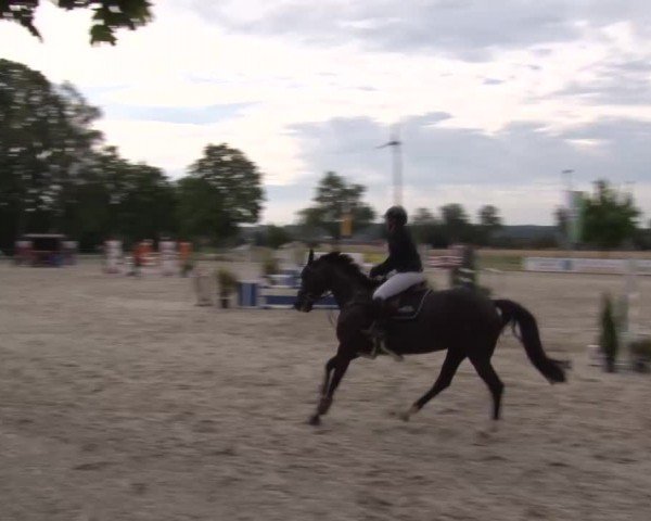 Reitturnier Rot am See Musdorf 2024