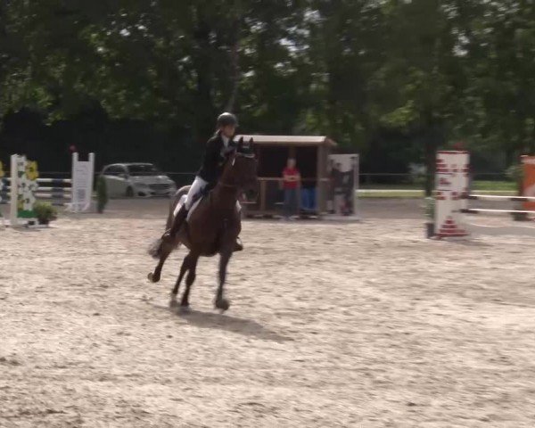 Reitturnier Rot am See Musdorf 2024
