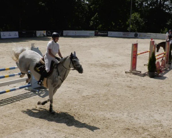 Reitturnier Karlsfeld/Obb. 2024