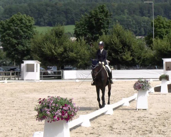 Reitturnier Balsthal 2024