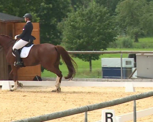 Reitturnier Altentrüdingen/Mfr. 2024
