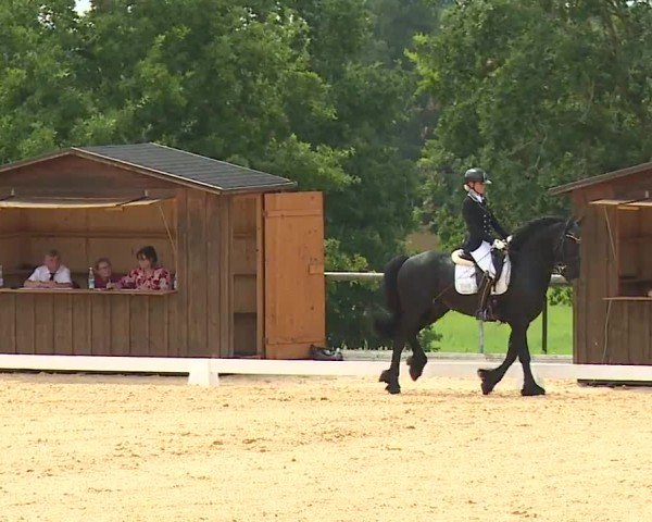 Reitturnier Altentrüdingen/Mfr. 2024