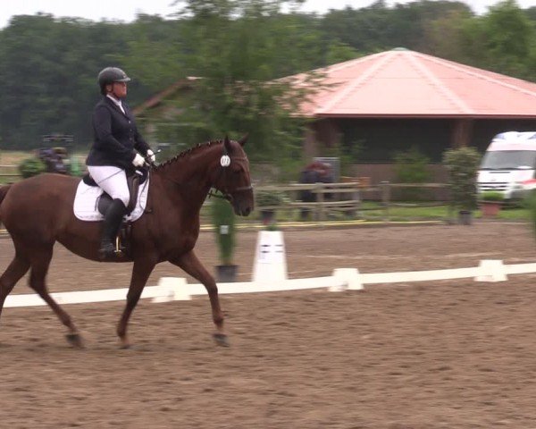 Reitturnier Altlandsberg 2024