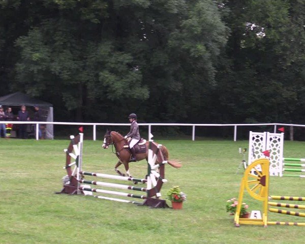 Reitturnier Gorgast 2024