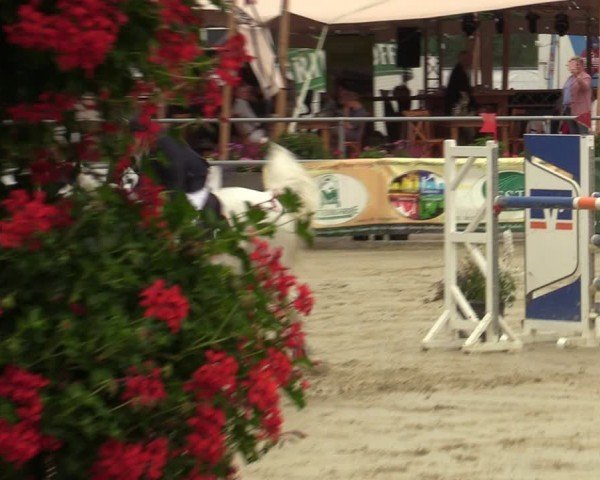 Reitturnier Olfen-Vinnum 2024
