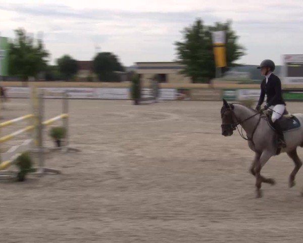 Reitturnier Rot am See Musdorf 2024