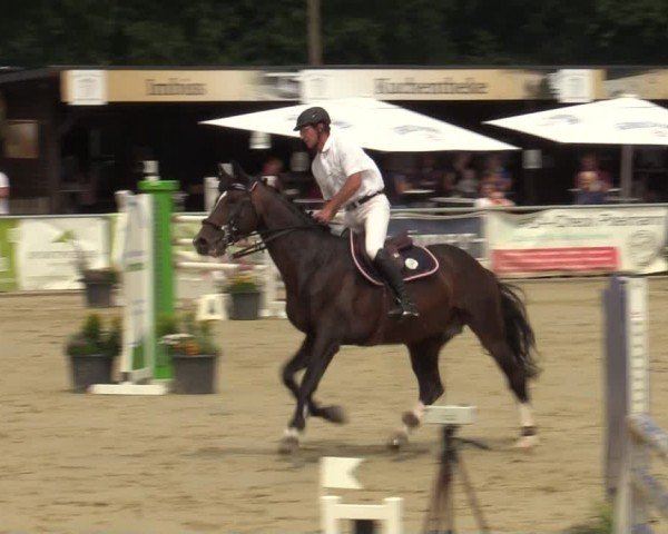 Reitturnier Olfen-Vinnum 2024