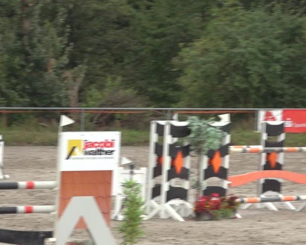 Reitturnier Bad Wildungen 2024