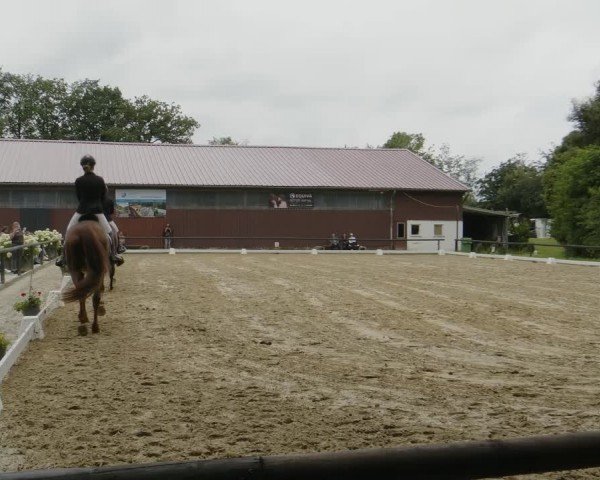 Reitturnier Marienheide-Kempershöhe 2024