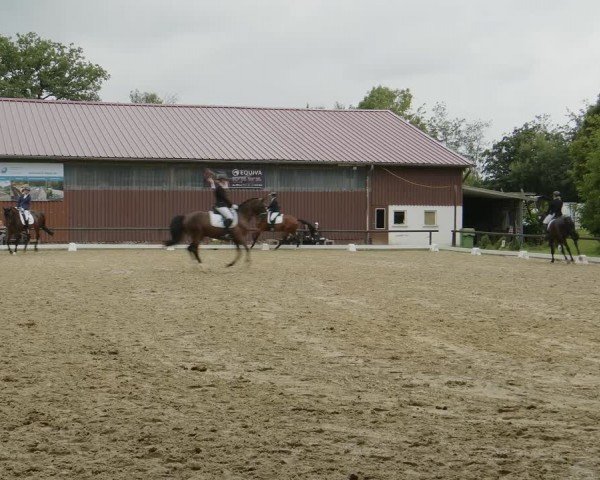 Reitturnier Marienheide-Kempershöhe 2024