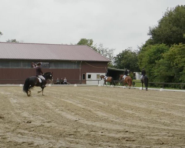 Reitturnier Marienheide-Kempershöhe 2024