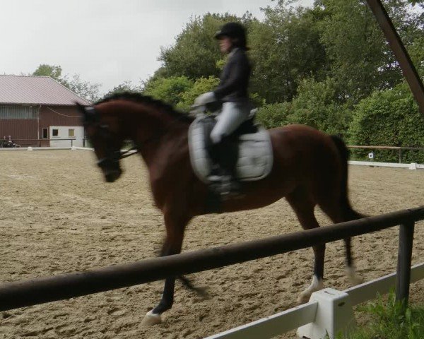 Reitturnier Marienheide-Kempershöhe 2024