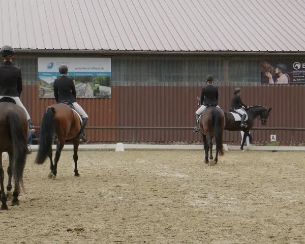 Reitturnier Marienheide-Kempershöhe 2024