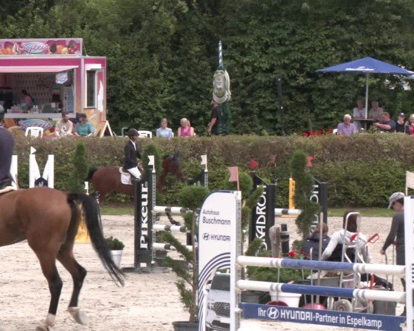 Reitturnier Vlotho-Exter 2024
