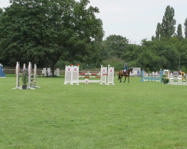 Reitturnier Hannover/Reiterstadion 2024