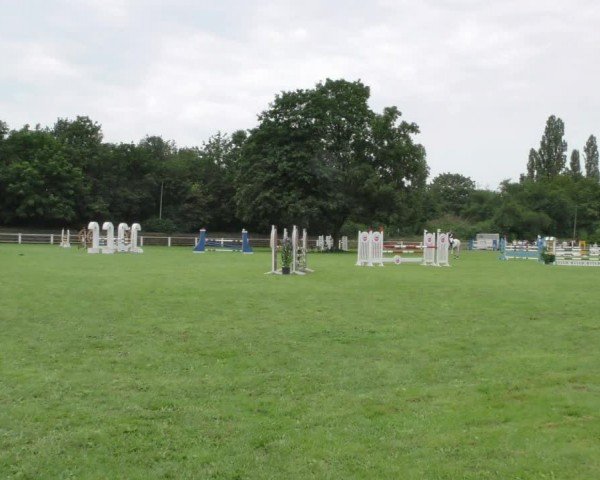 Reitturnier Hannover/Reiterstadion 2024
