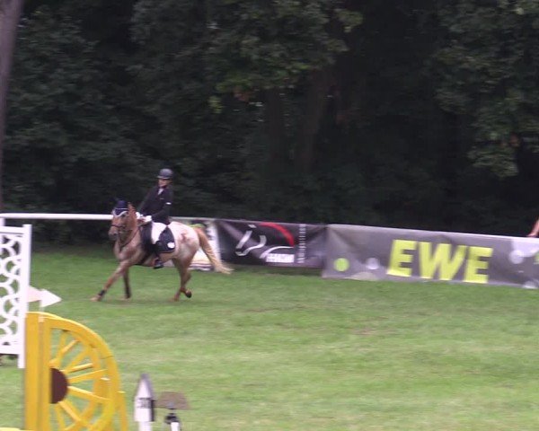 Reitturnier Gorgast 2024