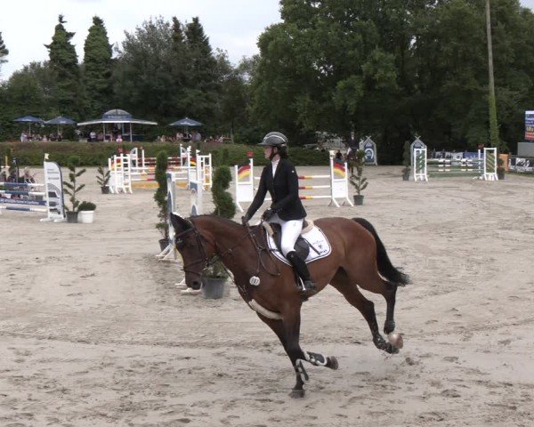 Reitturnier Vlotho-Exter 2024